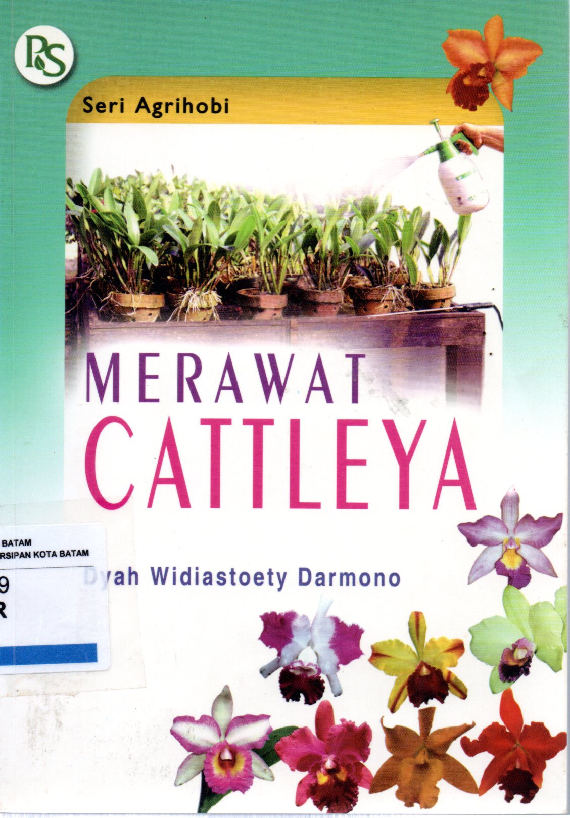 Sampul Merawat Cattleya