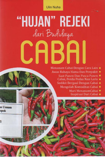 Sampul Hujan Rejeki dari Budidaya Cabai