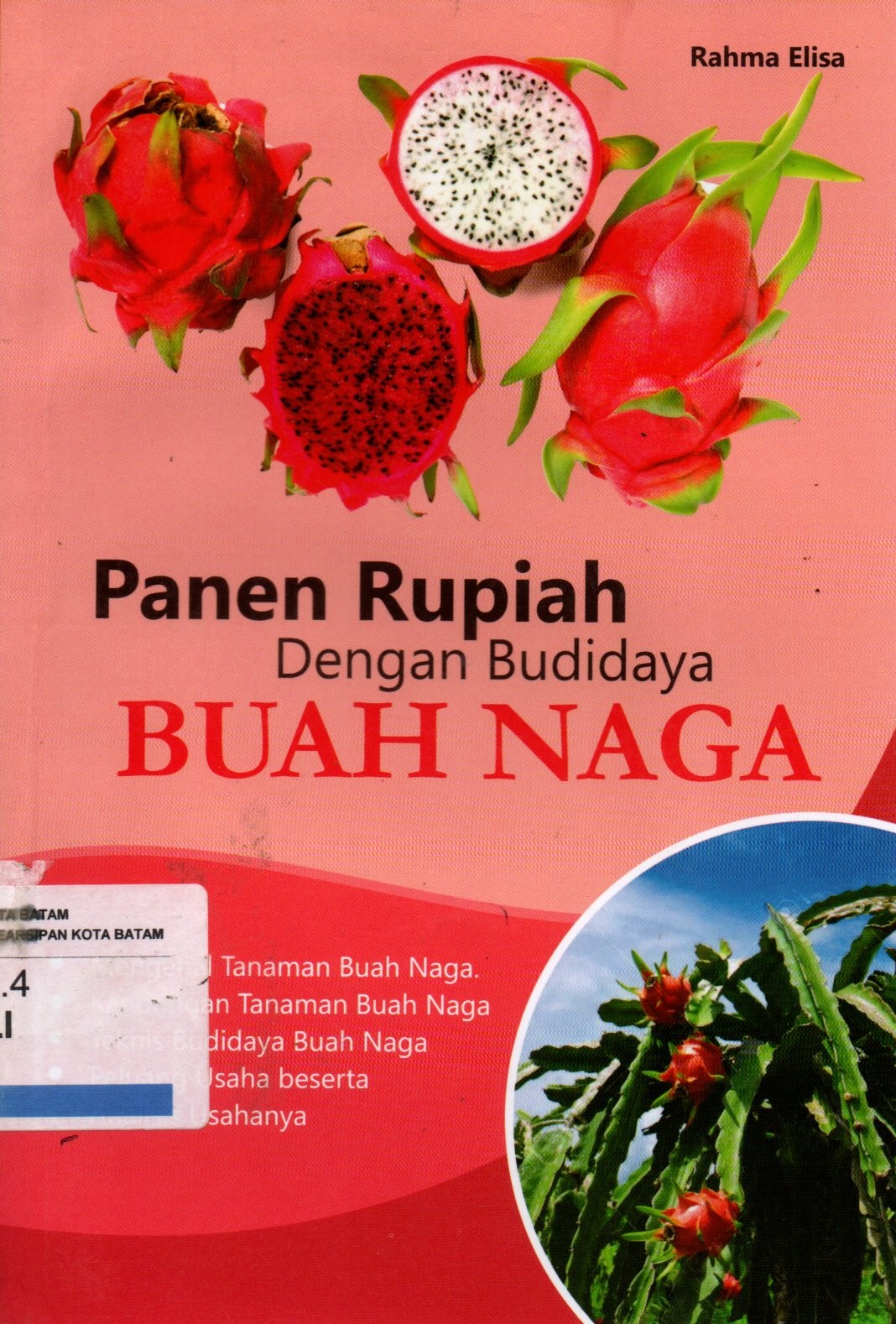 Sampul Panen Rupiah dengan Budidaya Buah Naga