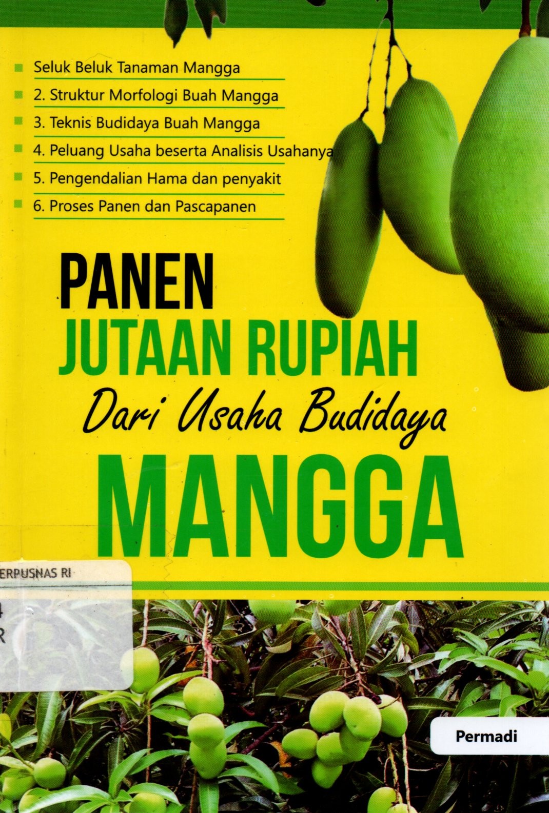 Sampul Panen Jutaan Rupiah dari Usaha Budidaya Mangga