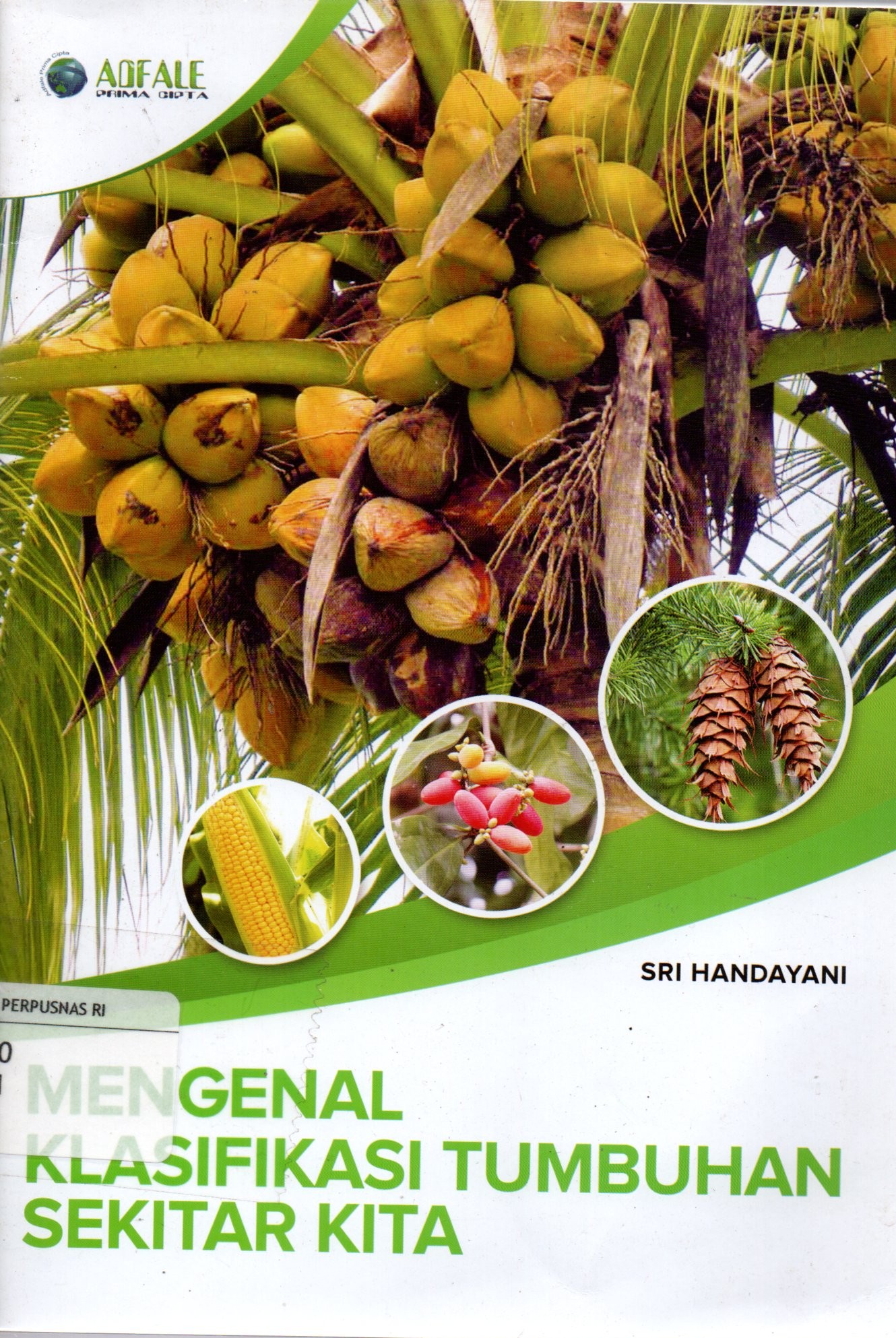 Sampul Mengenal Klasifikasi Tumbuhan Sekitar Kita