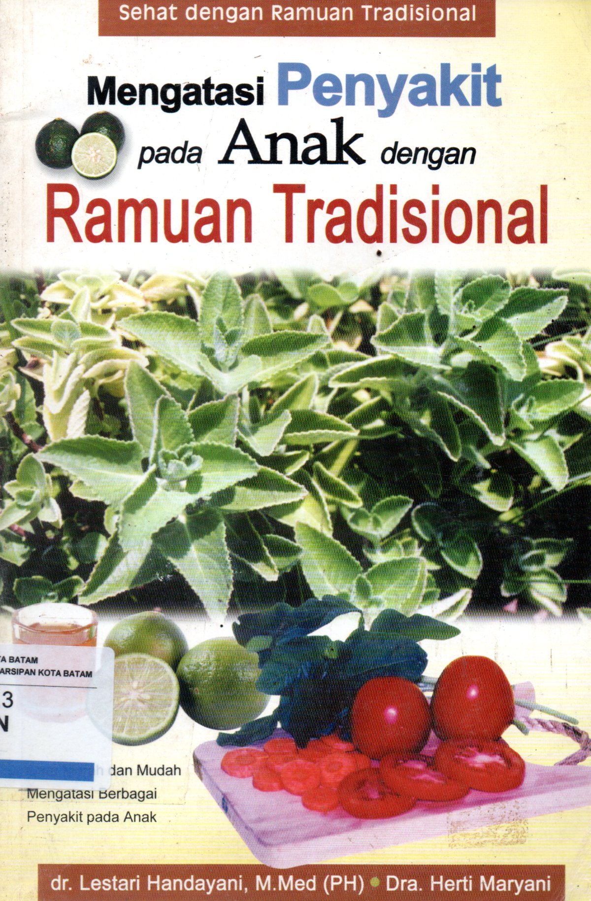 Sampul Mengatasi Penyakit pada Anak dengan Ramuan Tradisional