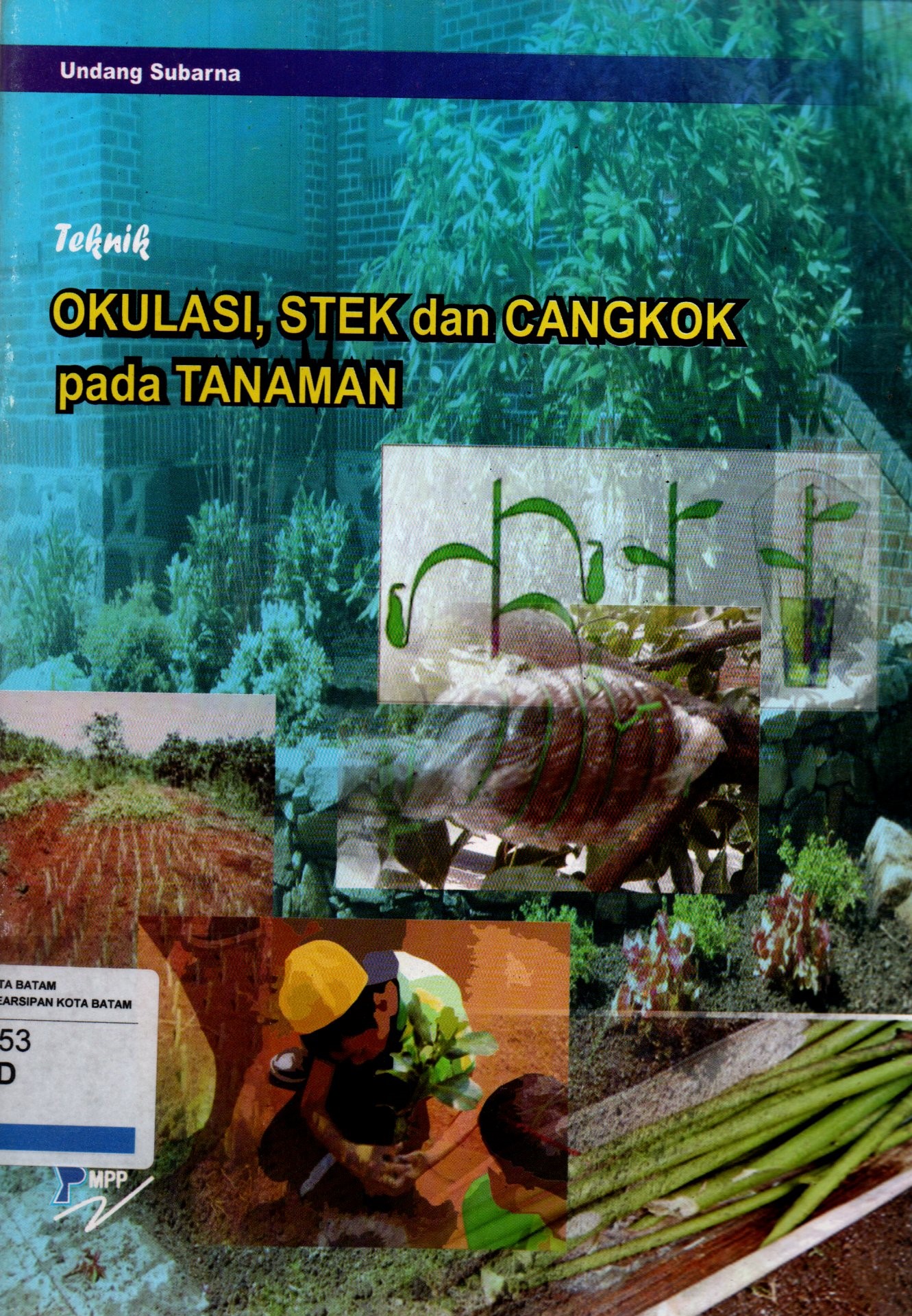 Sampul Teknik Okulasi, Stek dan Cangkok pada Tanaman