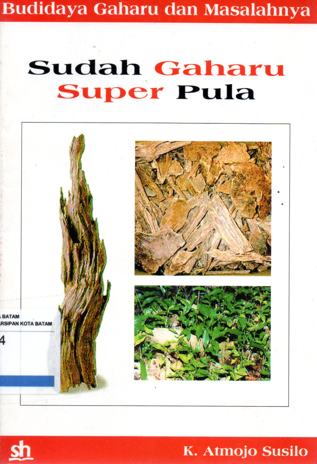 Sampul Sudah Gaharu Super Pula :  Budidaya Gaharu dan Masalahnya