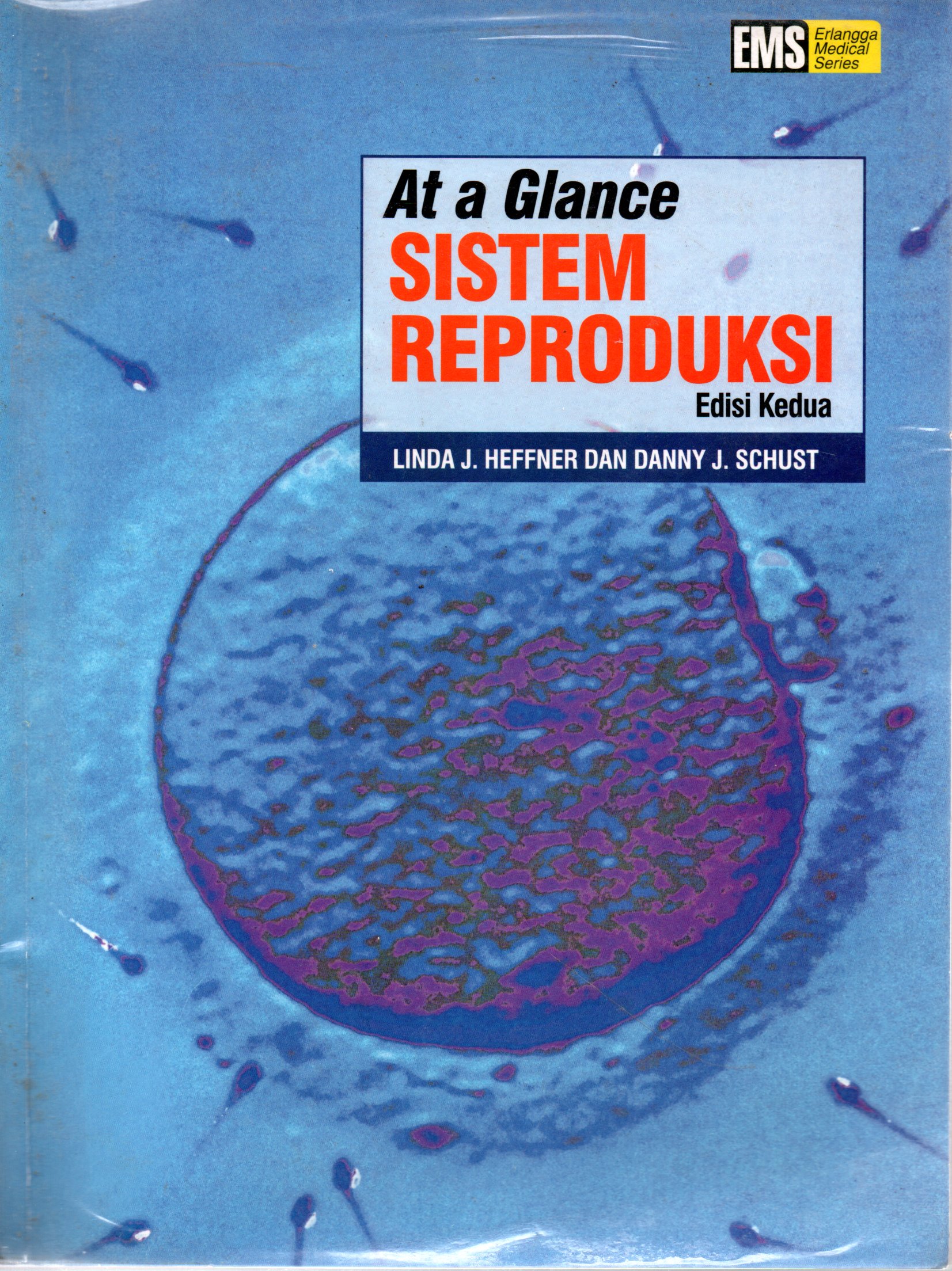 Sampul At a Glance Sistem Reproduksi / Penerjemah: Vidhia Umami
