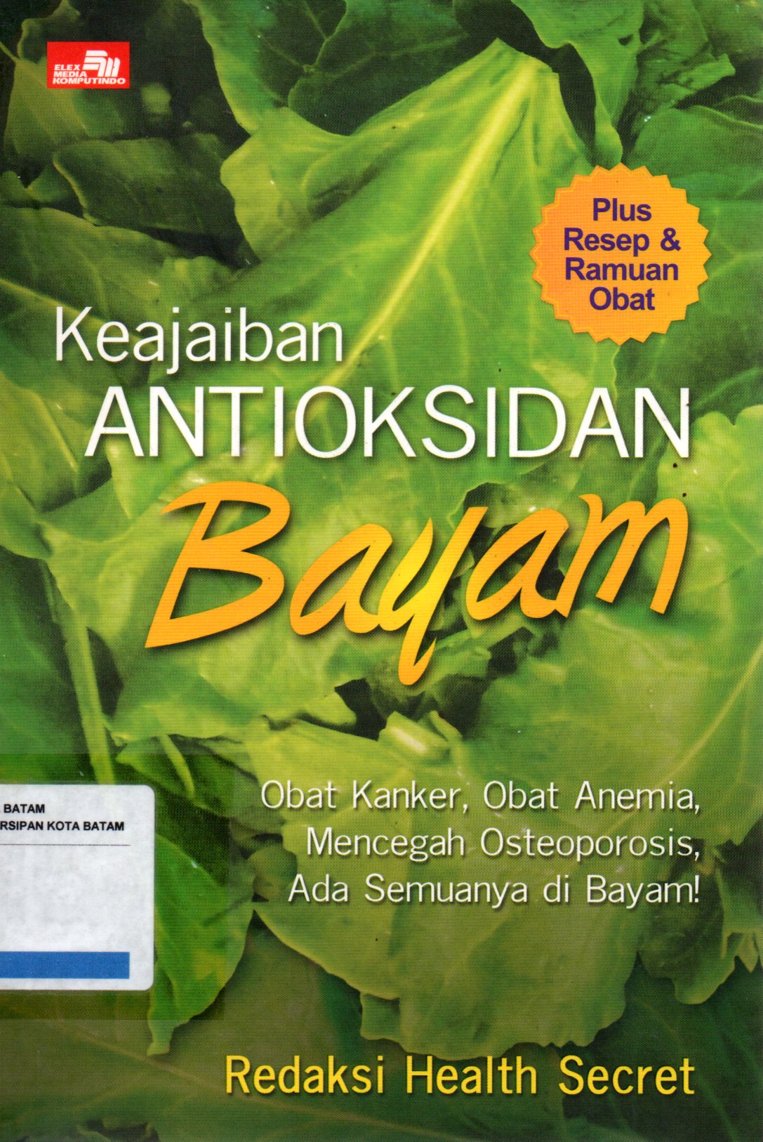 Sampul Keajaiban Antioksidan Bayam :  Obat Kanker, Obat Anemia, Mencegah Osteoporosis, Ada Semuanya di Bayam!