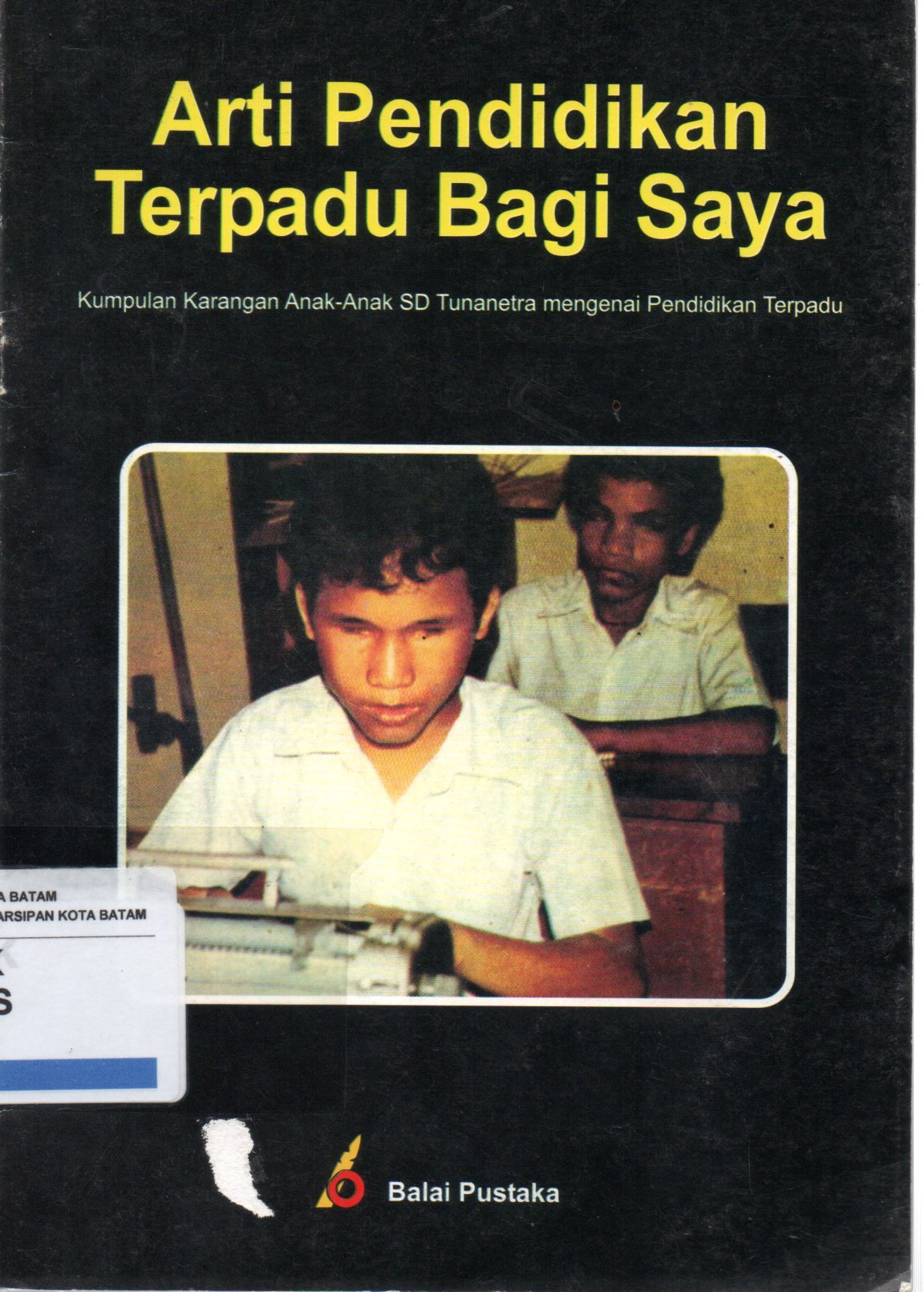 Sampul Arti Pendidikan Terpadu Bagi Saya :  Kumpulan Karangan Anak-Anak SD Tunanetra Mengenai Pendidikan Terpadu