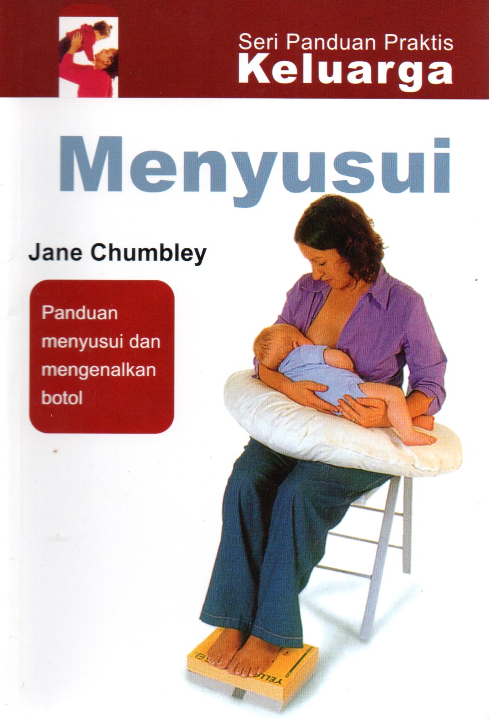 Sampul Menyusui :  Panduan Para Ibu untuk Menyusui dan Mengenalkan Bayi Pada Susu Botol / Penerjemah: Susiati Puspitasari