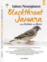 Sampul Sukses Penagkaran Blackthroat Jawara :  Untuk Hobies Dan Bisnis