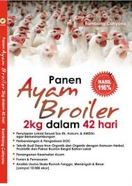 Sampul Panen Ayam Broiler 2kg Dalam 42 Hari