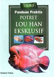 Sampul Panduan Praktis Potret Lou Han Eksklusif