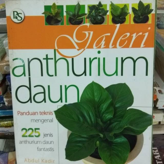 Sampul Galery Anthurium Daun :  225 jenis snthurium daun fantastis