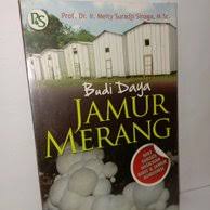 Sampul Budi Daya Jamur Merang :  Kiat Sukses Hasilkan Bibit & Jamur Konsumsi