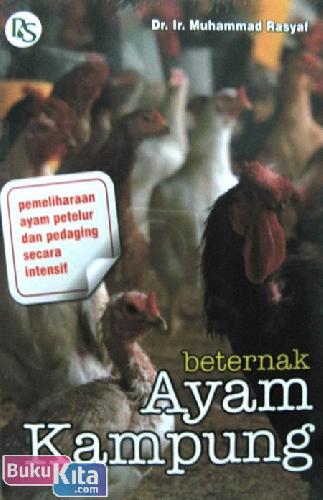 Sampul Beternak Ayam Kampung
