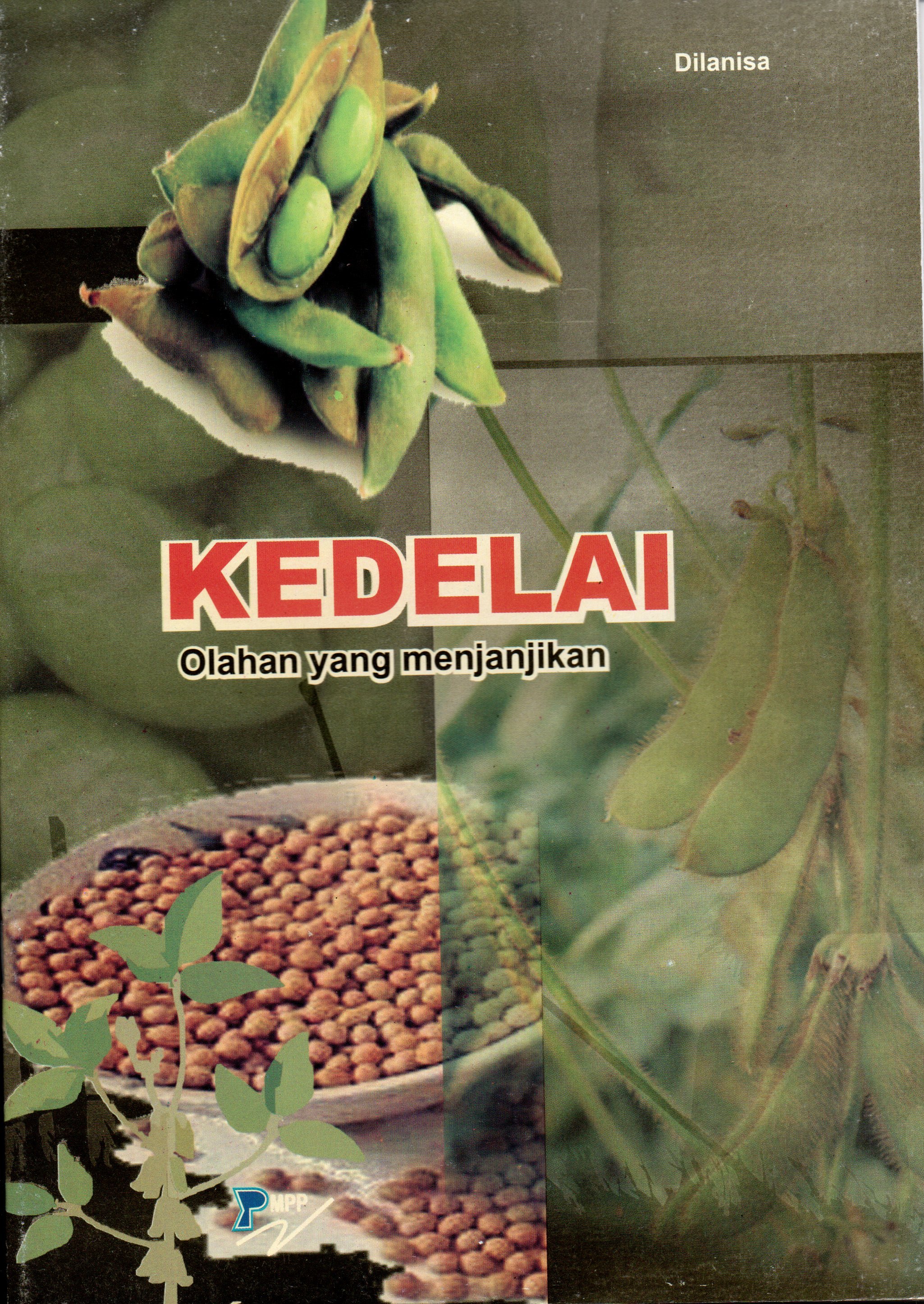 Sampul Kedelai Olahan yang Menjanjikan