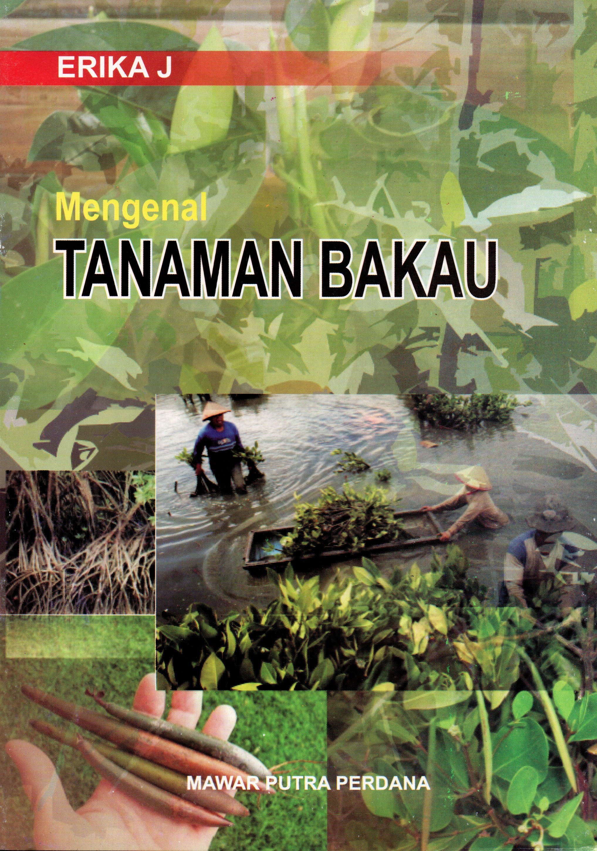 Sampul Mengenal Tanaman Bakau / Erika J