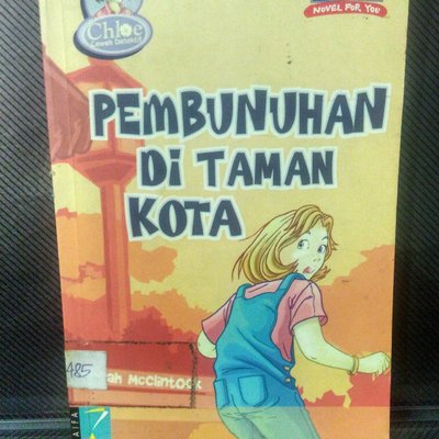 Sampul Pembunuhan di Taman Kota