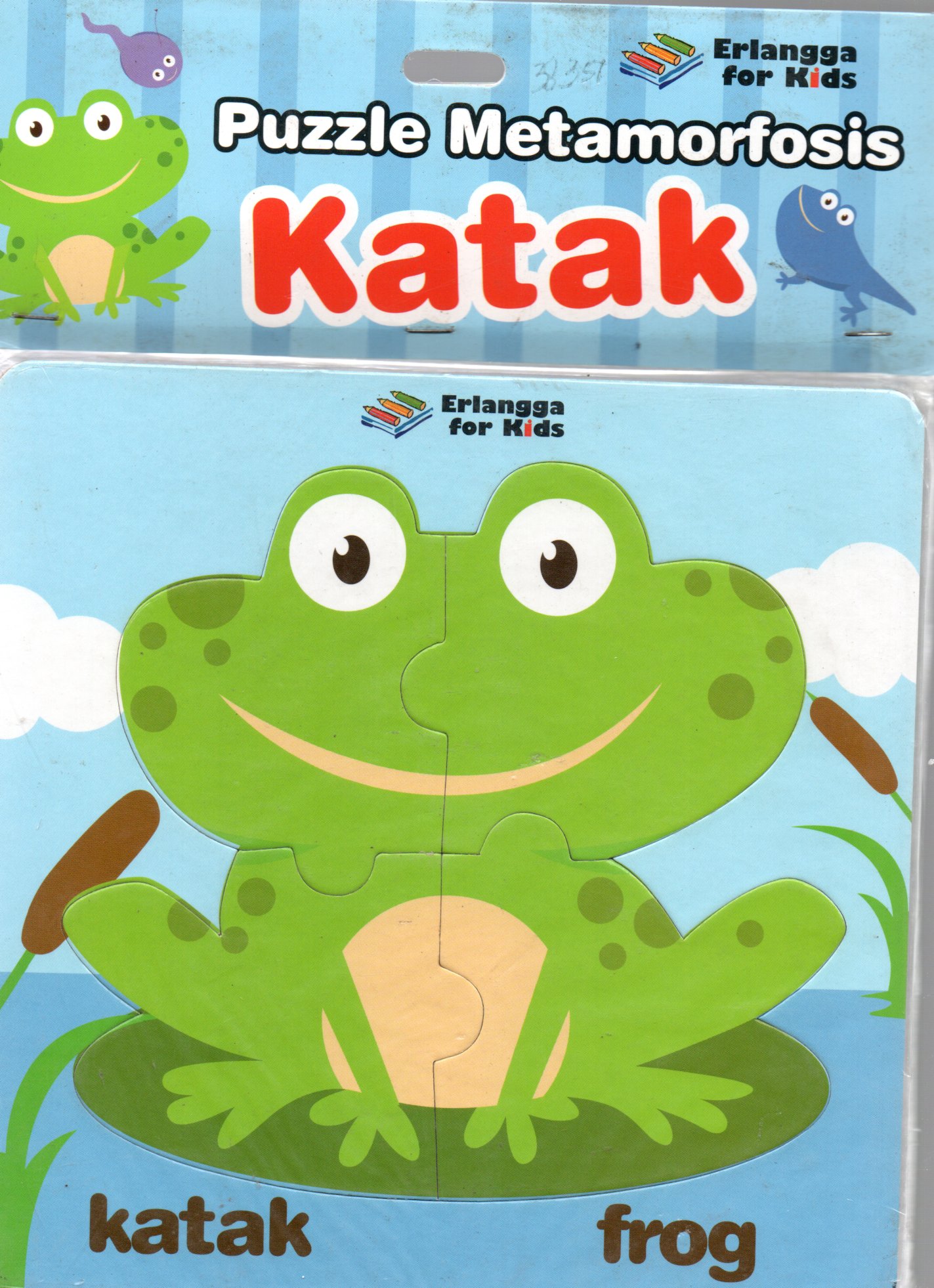 Sampul Katak :  Puzzle Metamorfosis