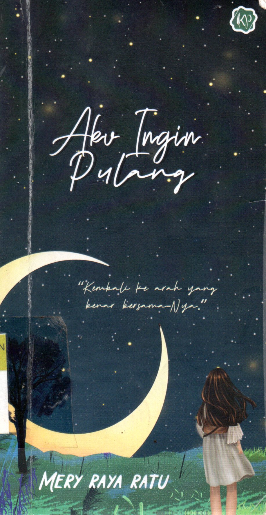 Sampul Aku Ingin Pulang
