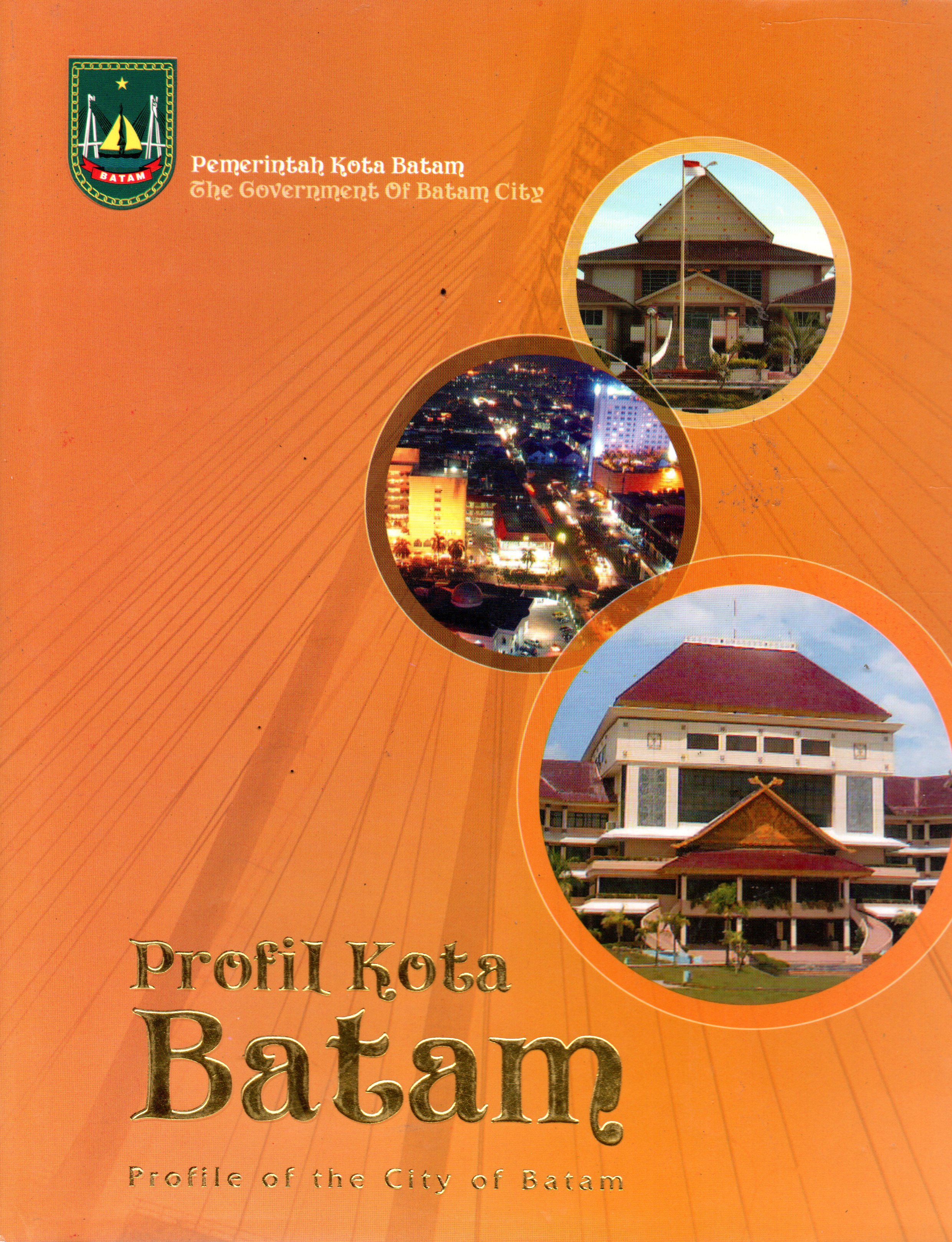 Sampul Profil Kota Batam = Profile Of Batam City 2007