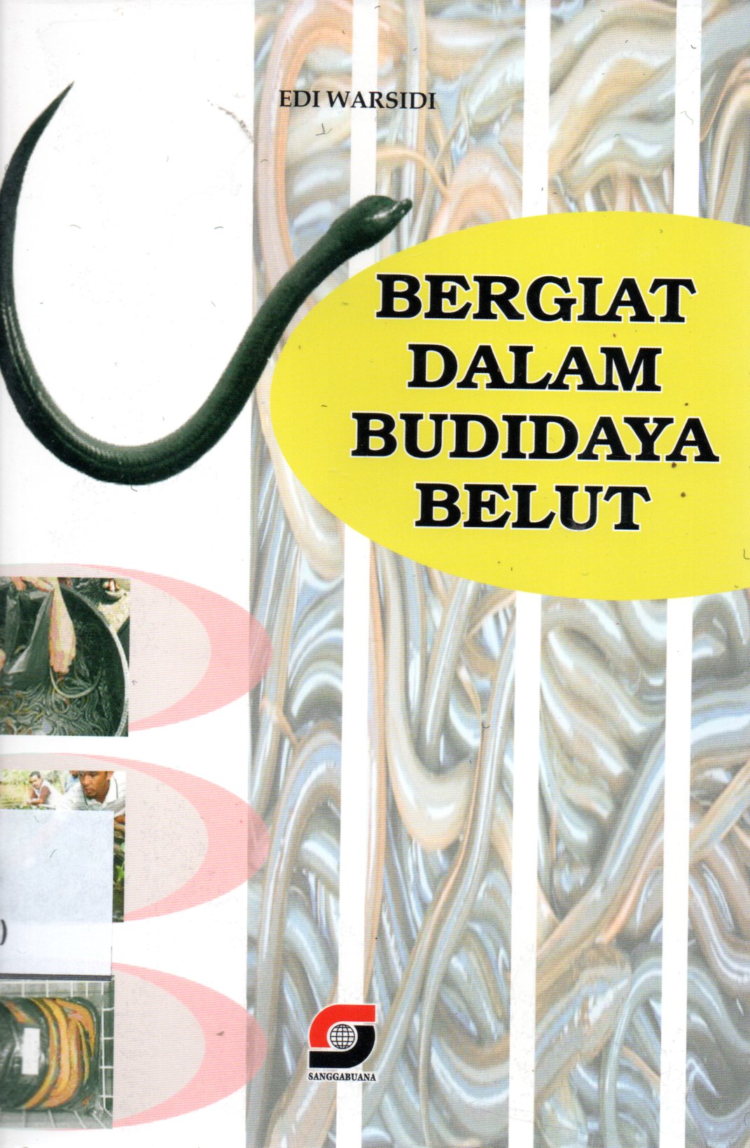 Sampul Bergiat Dalam Budidaya Belut / Editor: Kiki