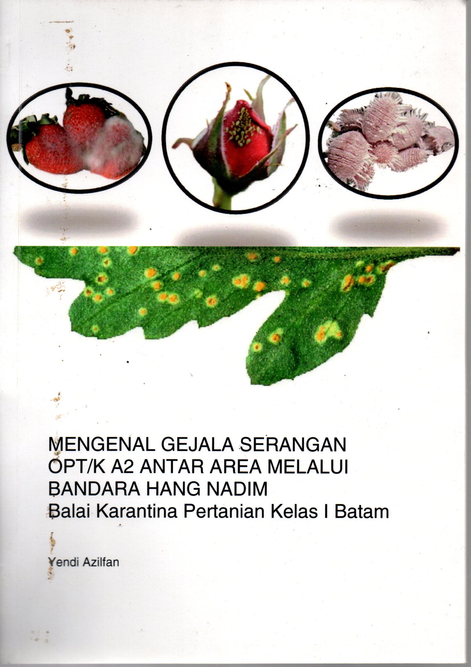 Sampul Mengenal Gejala Serangan OPT/k A2 Antar Area Melalui Bandara Hang Nadim