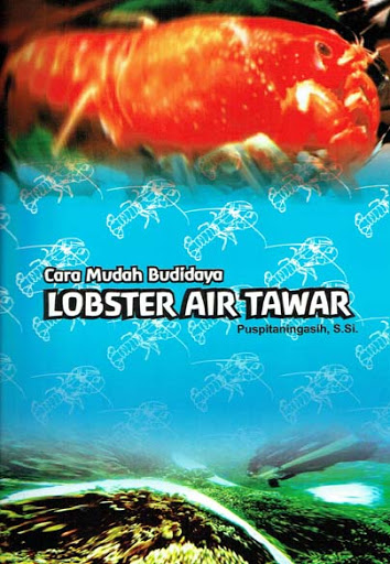 Sampul Cara Mudah Budidaya Lobster Air Tawar / Puspitaningasih, S.Si