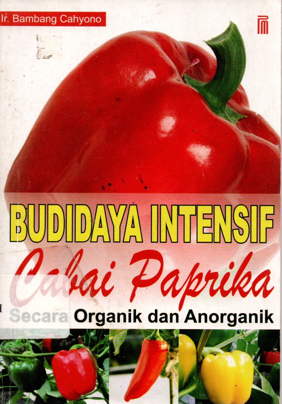 Sampul Budidaya intensif Cabai Paprika :  Secara Organik dan Anorganik