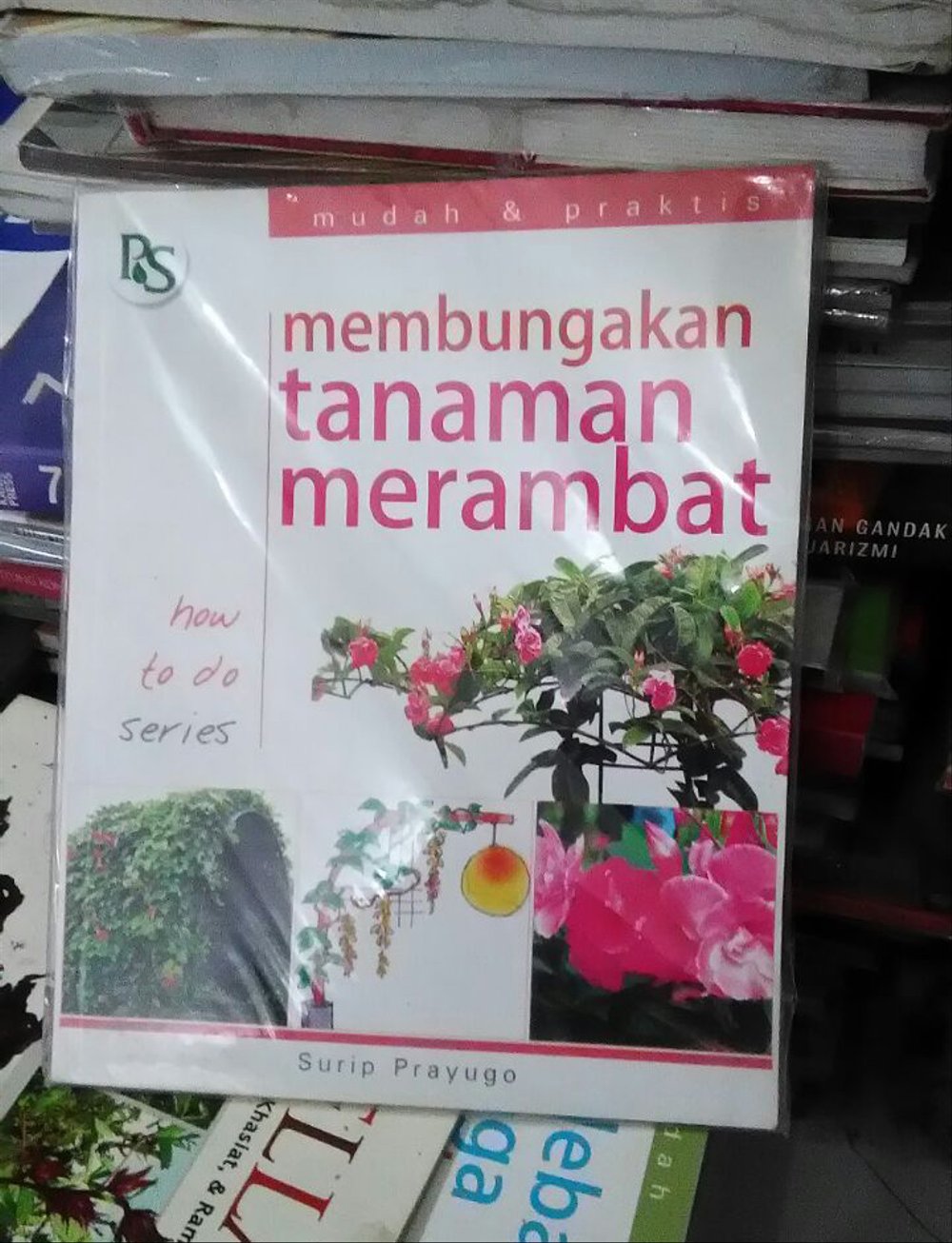 Sampul Membungakan Tanaman Merambat / Surip Prayugo