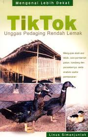 Sampul TikTok Unggas Pedaging Rendah Lemak / Linus Simanjuntak