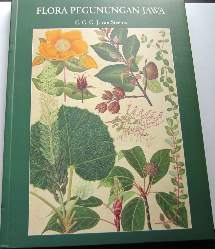 Sampul Flora Pegunungan Jawa / Steenis, van C.G.G.J
