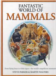 Sampul Fantastic world of mammals / Steve  Parker, Martin Walters