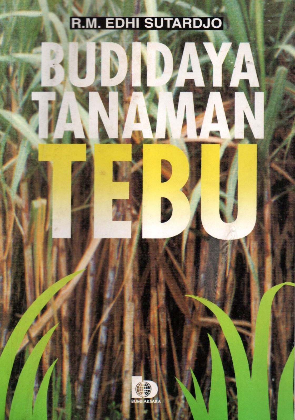 Sampul Budidaya Tanaman Tebu