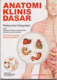 Sampul Anatomi Klinis Dasar / dr. Imelda Mohamad
