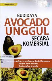 Sampul Budidaya Avocado Unggul :  Secara Komersial