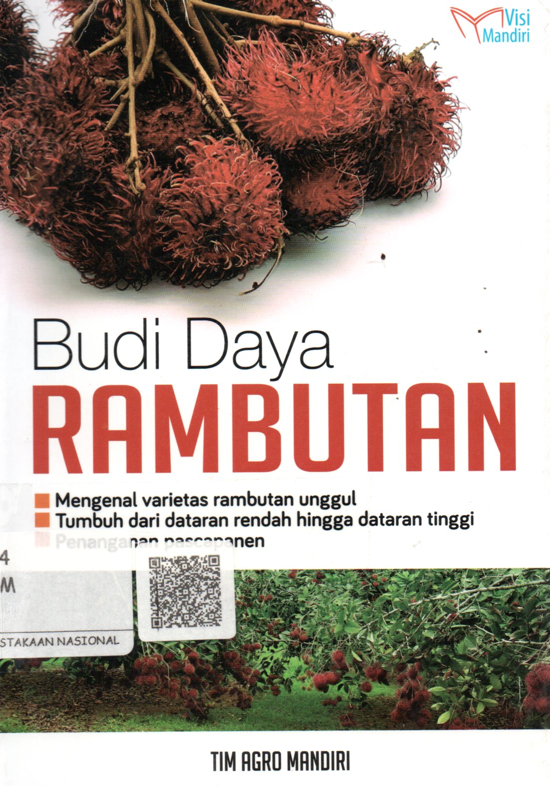 Sampul Budi Daya Rambutan :  Mengenal Varietas Rambutan Unggul, dan Tumbuh dari Dataran Rendah Hingga Tinggi