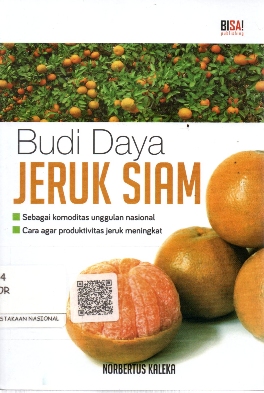 Sampul Budi Daya Jeruk Siam :  Sebagai Komoditas Unggulan Nasional / Penyunting: Tin Zulaeha