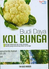Sampul Budi Daya Kol Bunga
