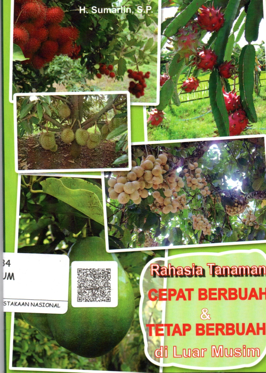 Sampul Rahasia Tanaman Cepat Berbuah dan Tetap Berbuah di Luar Musim