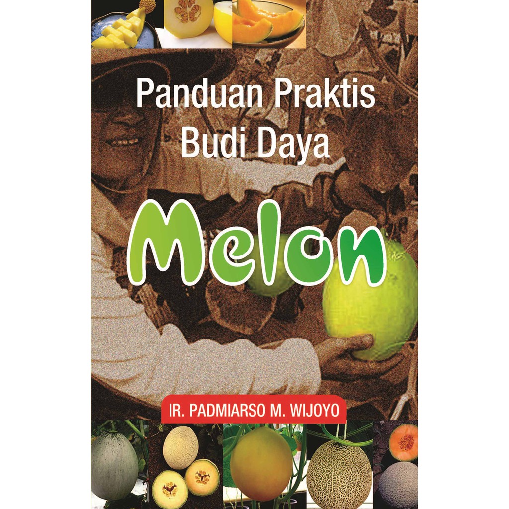 Sampul Panduan Praktis Budi Daya Melon / Ir. Padmiarso M. Wijoyo