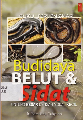 Sampul Budidaya Belut & Sidat :  Untung Besar dengan Modal Kecil / Ir. Bambang Cahyono