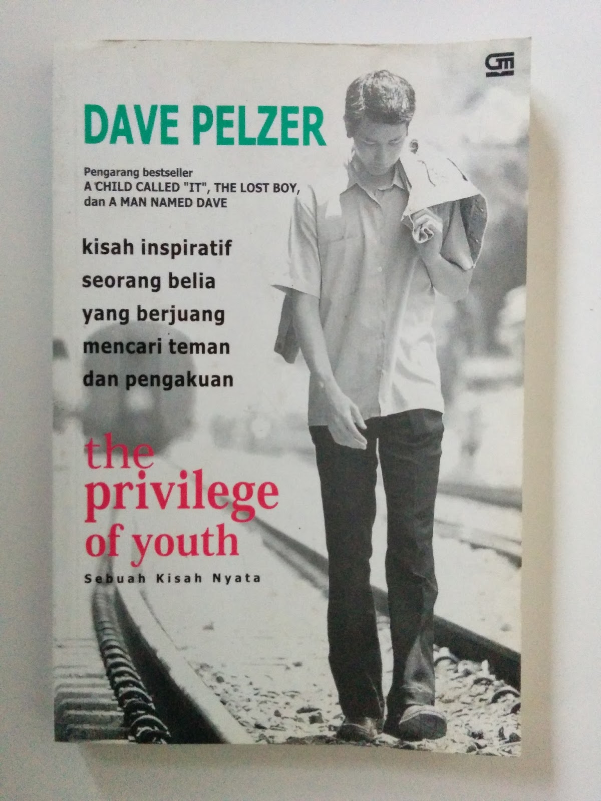 Sampul The Previlege of Youth / Dave Pelzer