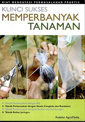 Sampul Kunci sukses memperbanyak tanaman / Redaksi Agromedia