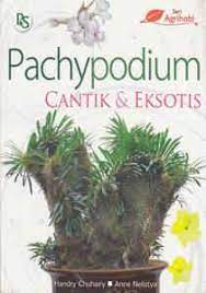 Sampul Pachypodium Cantik & Eksotis / Handry Chuhairy & Anne Nelistya