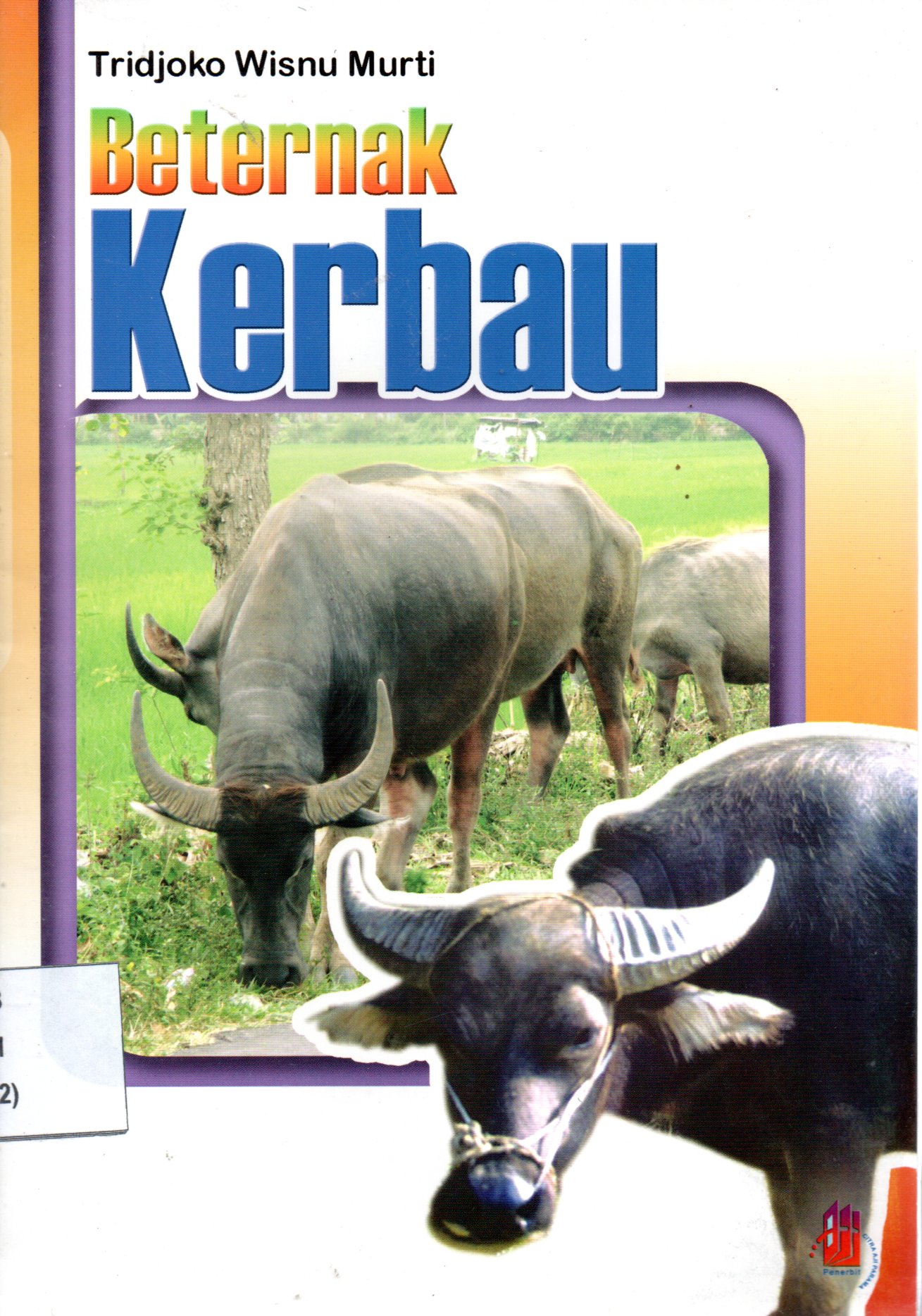Sampul Beternak Kerbau