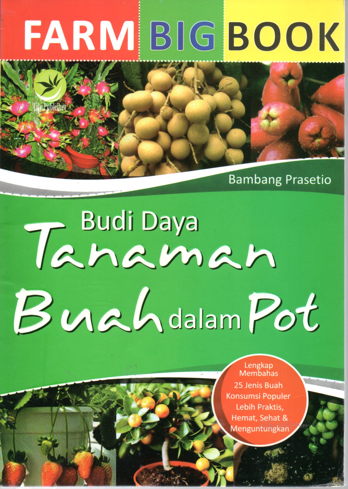 Sampul Farm Bigbook :  Budi Daya Tanaman Buah dalam Pot / Editor: Sigit Suyantoro