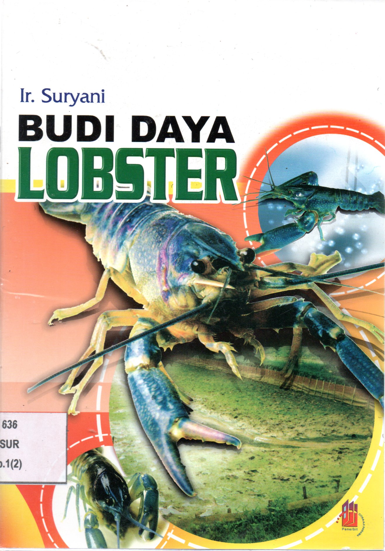Sampul Budi Daya Lobster