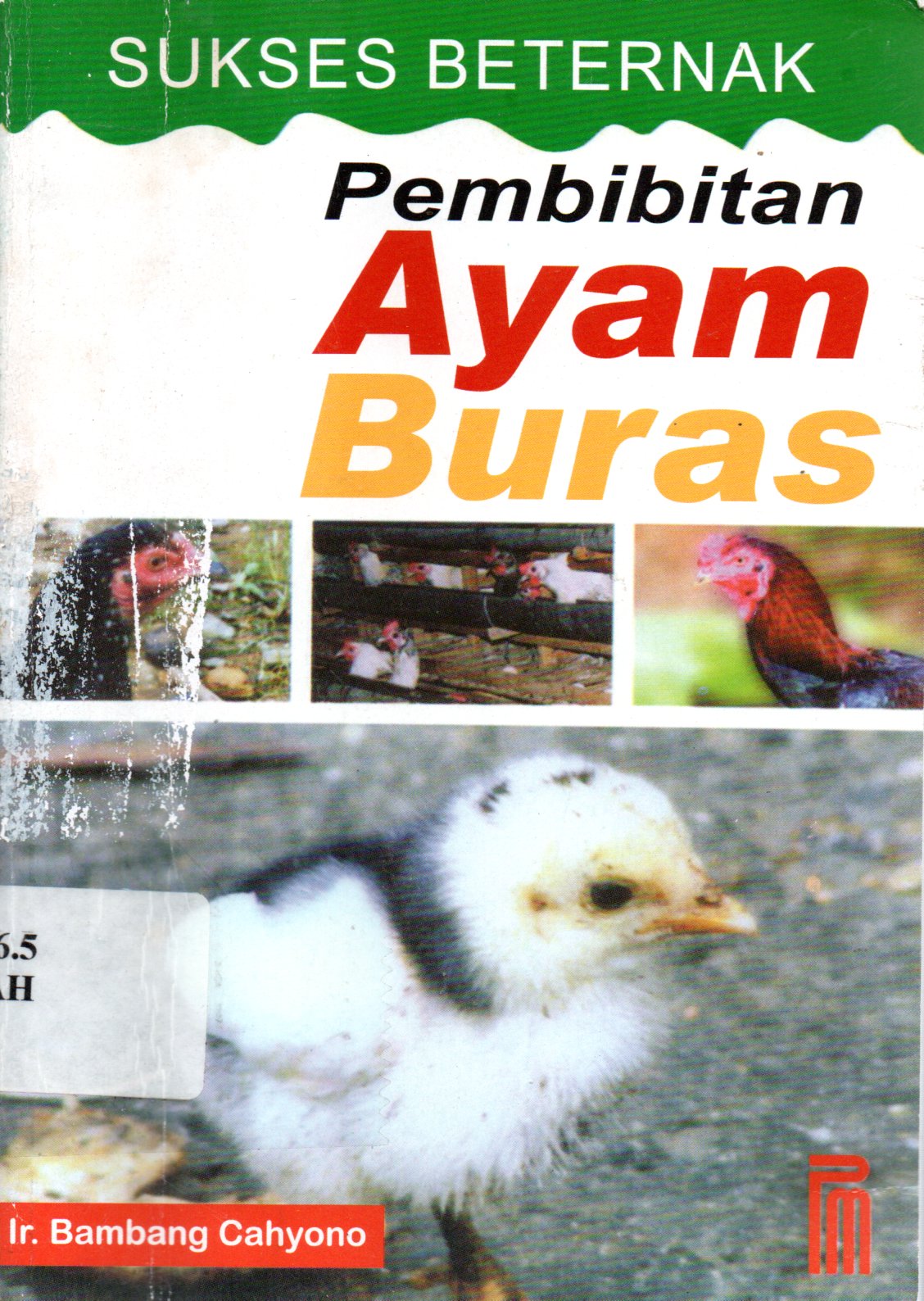 Sampul Sukses Beternak Pembibitan Ayam Buras