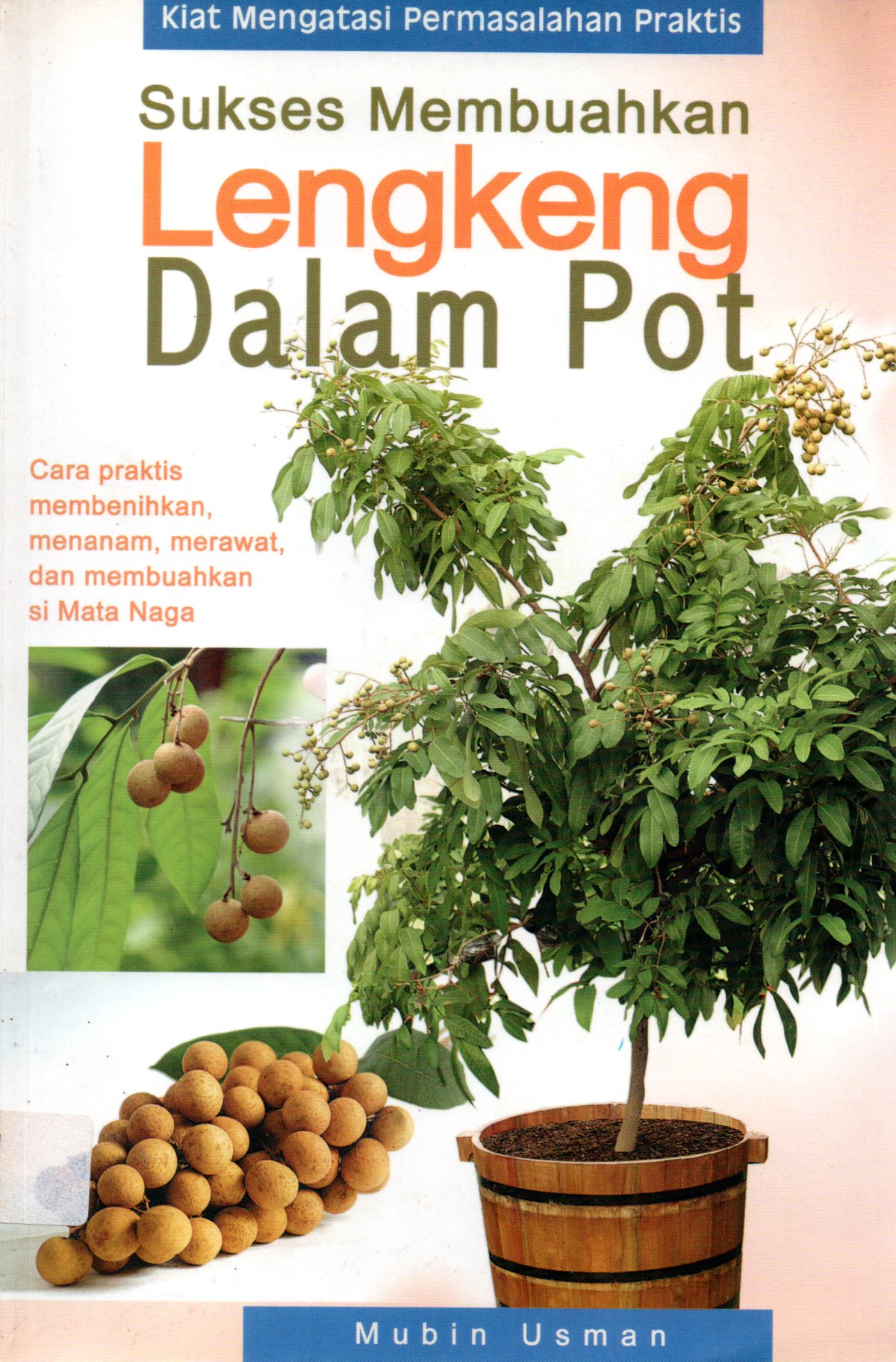 Sampul Sukses Membuahkan Lengkeng dalam Pot :  Cara Praktis Membenihkan, Menanam, Merawat dan Membuahkan si Mata Naga