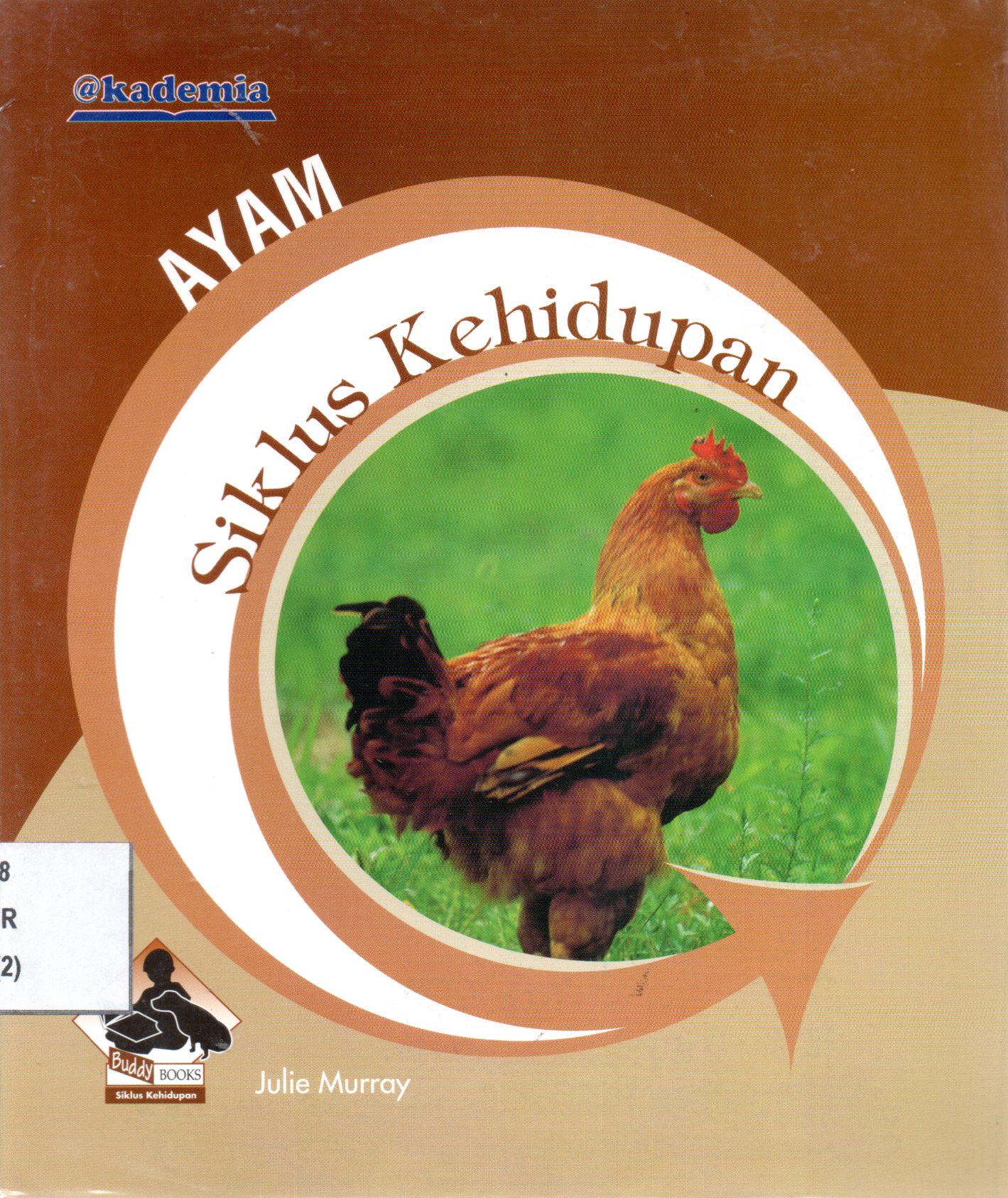 Sampul Siklus Kehidupan :  Ayam / Penerjemah: Febrianti I.D